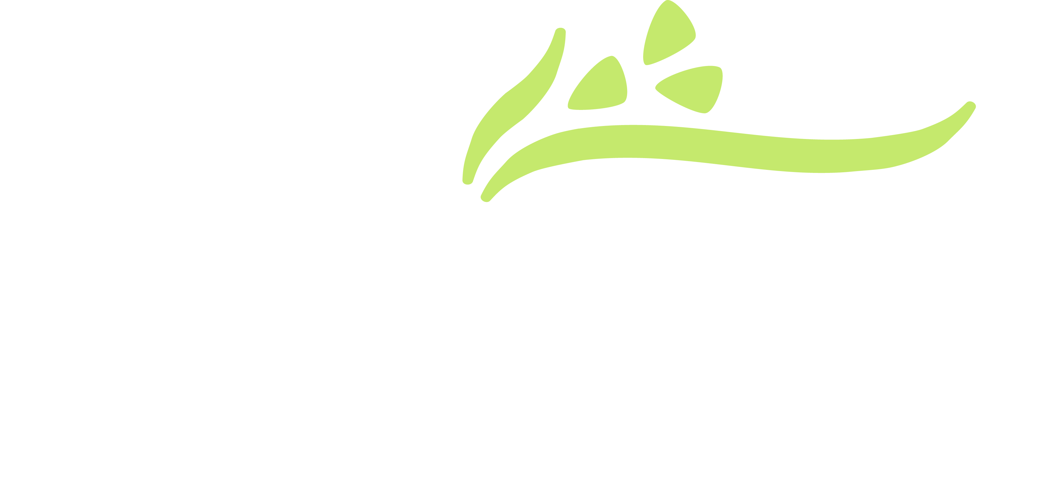 Nuflours Logo - 'Creating Food For Good'